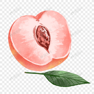 易直播足迹app官方网站APP应用