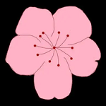 片多多视频下载官方版